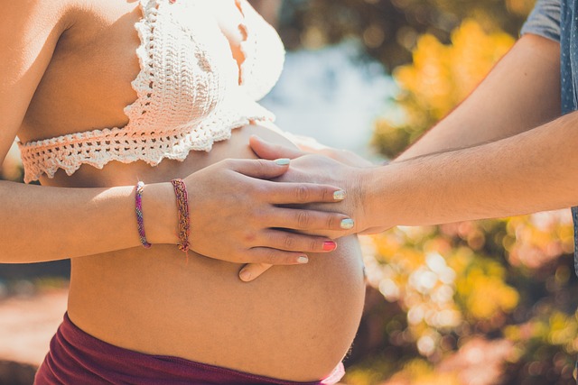 pregnant-2720434_640.jpg