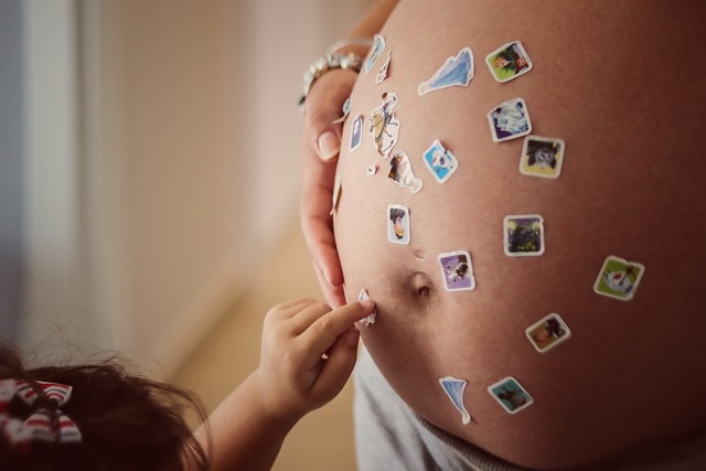 pregnancy-6620905_640.jpg