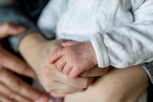 family-8358014_640.jpg
