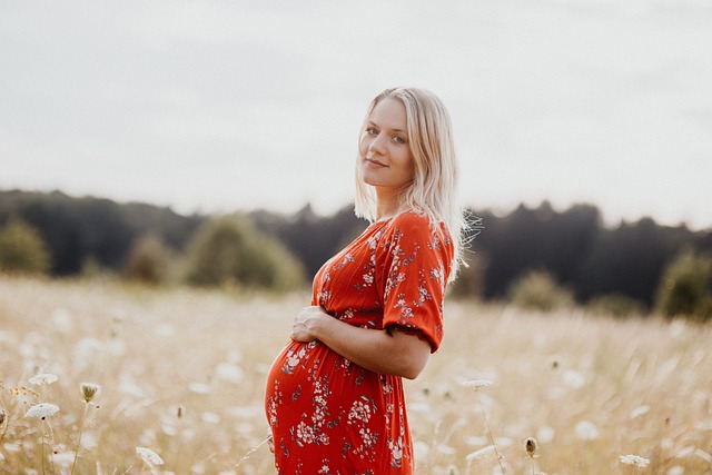pregnancy-5098881_640.jpg