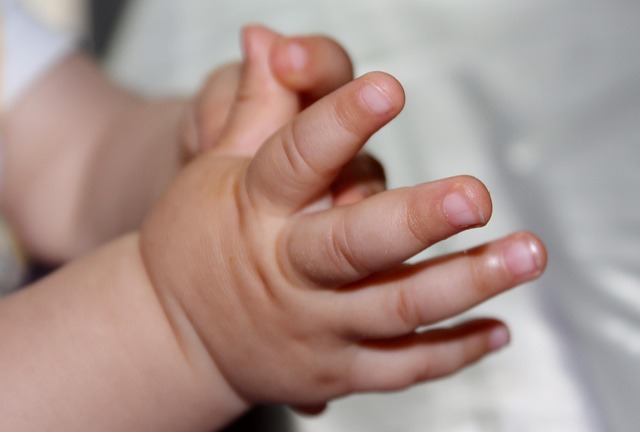 child-917366_640.jpg