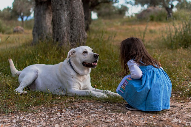 kid-5718703_640.jpg