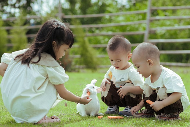 kids-9138810_640.jpg