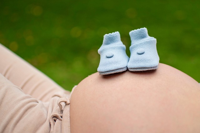 孕, 婴儿鞋, 腹部, 怀孕, 怀孕的女人, 母亲, 产妇, 期待, 女士