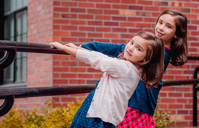 姐妹, 女孩们, 一对, 朋友们, 孩子们, 兄弟姐妹, 友谊, 童年, 家庭