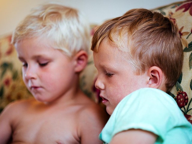 男孩们, 读, 孩子们, 轻松, 小的, 可爱的, 学习, 孩子们学习, 兄弟