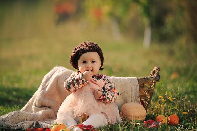 婴儿, 秋天, 引擎盖, 学步的儿童, 秋天的图案, 篮子, 婴儿篮, 女孩